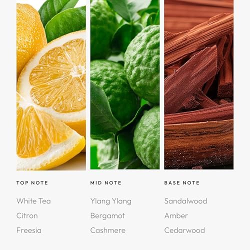Aroma360 Little White Lies Diffuser Oil
