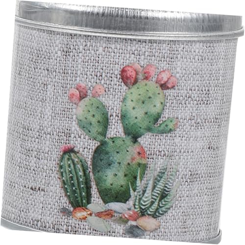 STOBAZA 2pcs Vintage Rustic Iron Flower Vases with Handles