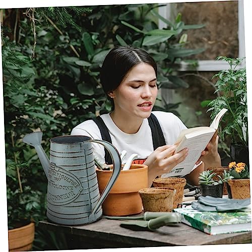 Vintage Style Iron Flower Vase for Dried Flowers