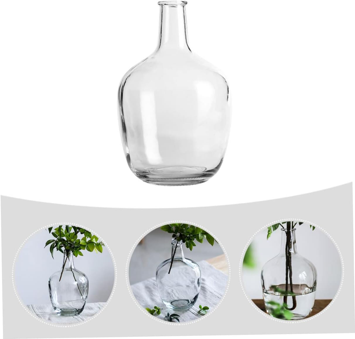 STOBAZA Clear Hydroponic Vase for Indoor Decor