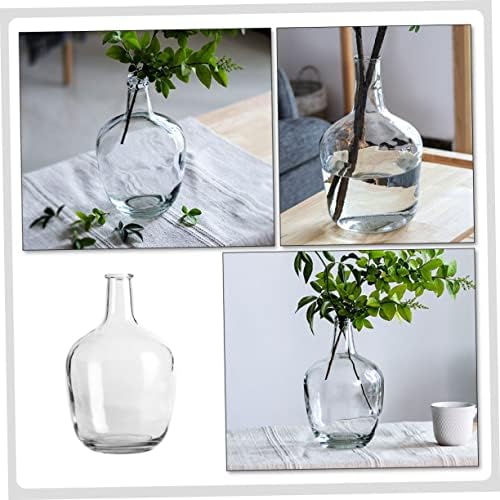 STOBAZA Clear Hydroponic Vase for Indoor Decor