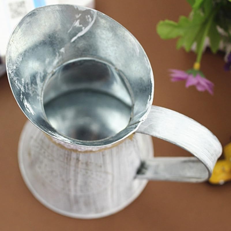 Vintage Iron Watering Can for Indoor Plants and Home Decor