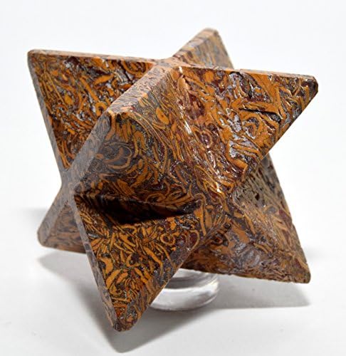 HC Set 63mm 8 Point Mariyam Holly Stone Merkaba Star Elephant Skin Coquina Jasper Crystal Natural Fossil Mineral