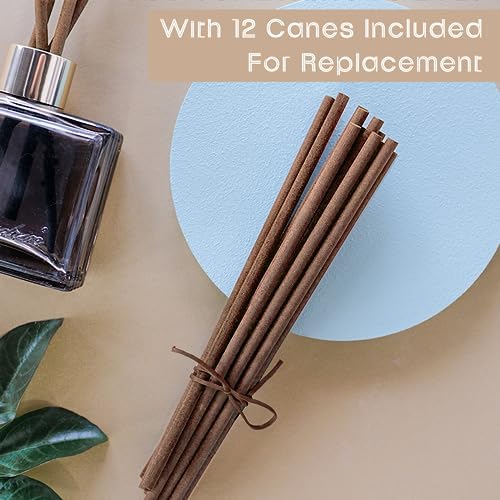 Binca Vidou Reed Diffuser Oil Refill 280ml with 12 Sticks