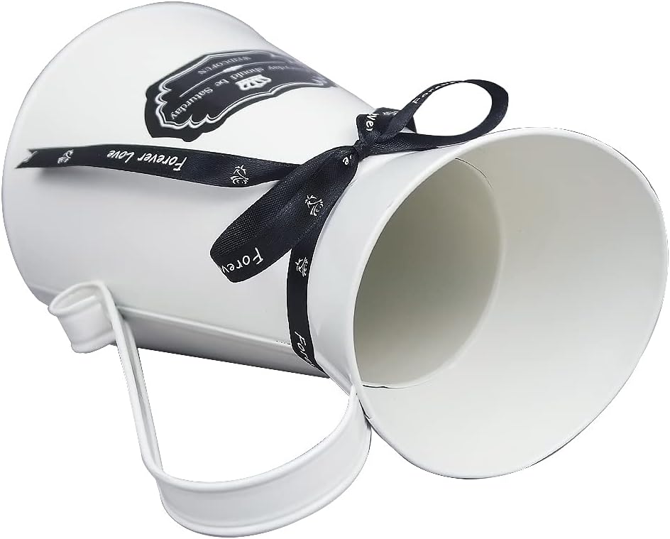 Watering Honey WEIDUOFUN 75 Inch Nordic Style Galvanized Metal Milk Jug Vase Decor