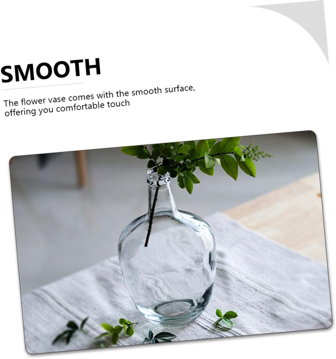 STOBAZA Clear Hydroponic Vase for Indoor Decor