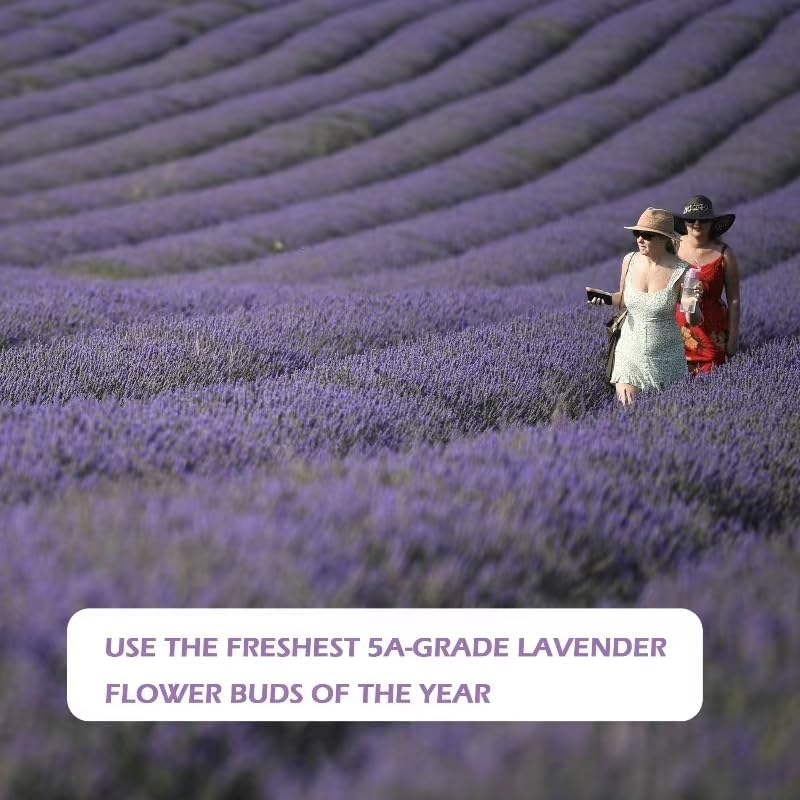 Haswer Lavender Sachets Pack of 10 for Home and Car
