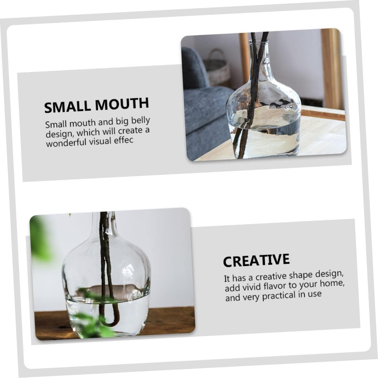 STOBAZA Clear Hydroponic Vase for Indoor Decor