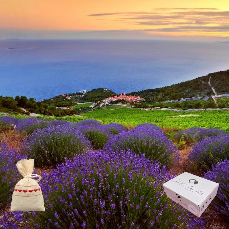 Croatian Lavender Sachets 12 Pack for Closets and Drawers