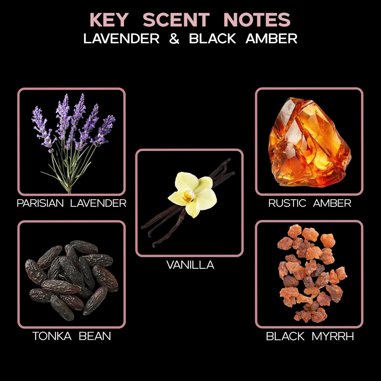 LOVSPA Lavender Black Amber Reed Diffuser Oil Refill