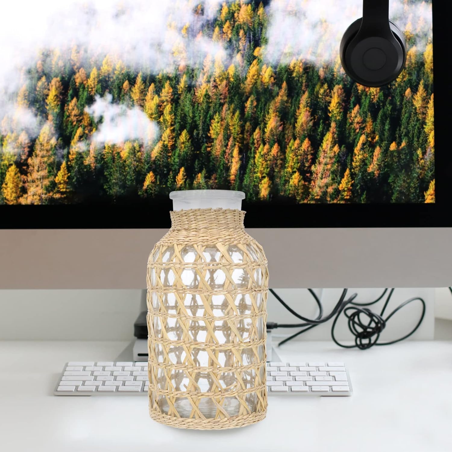 Stobaza 1Pc Rattan Woven Glass Vase for Home Decor