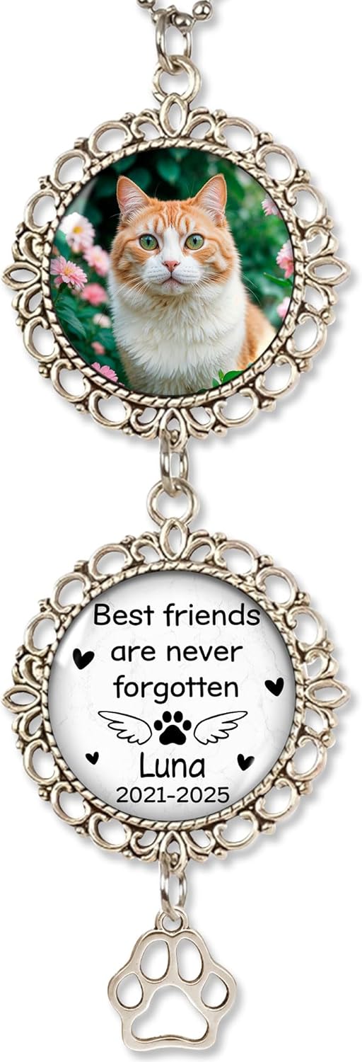 Hyturtle Personalized Pet Memorial Car Ornament - Custom Photo Gift