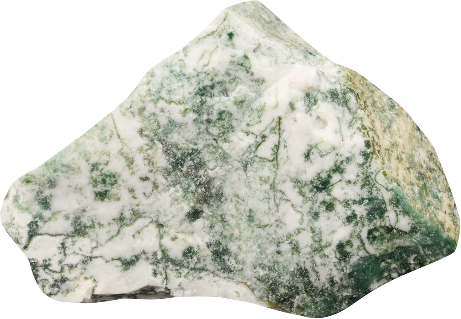 Green Tree Agate 3 Inch Raw Mineral Specimen Collectible Stone
