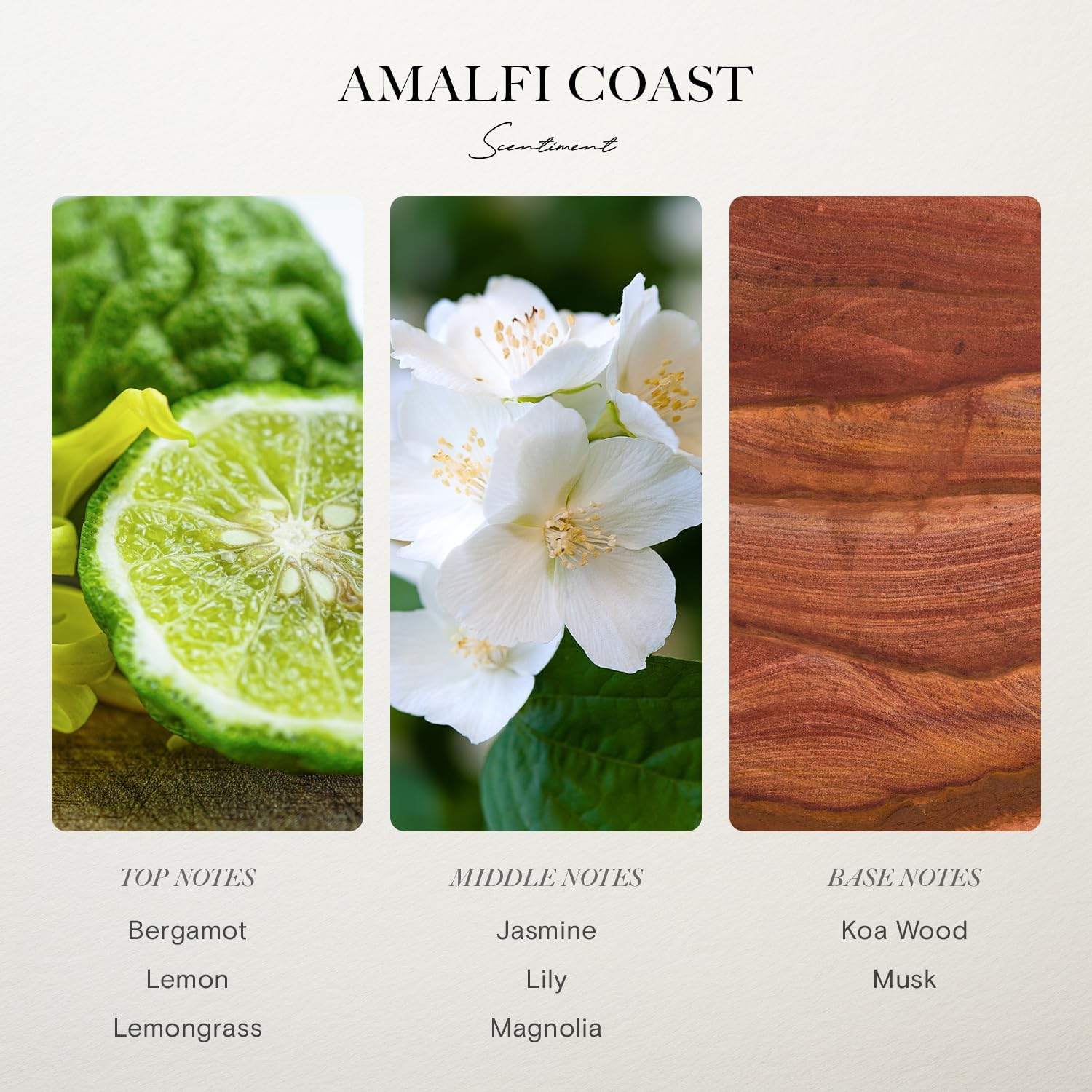 Scentiment Diffuser Oil - Amalfi Coast 120 mL