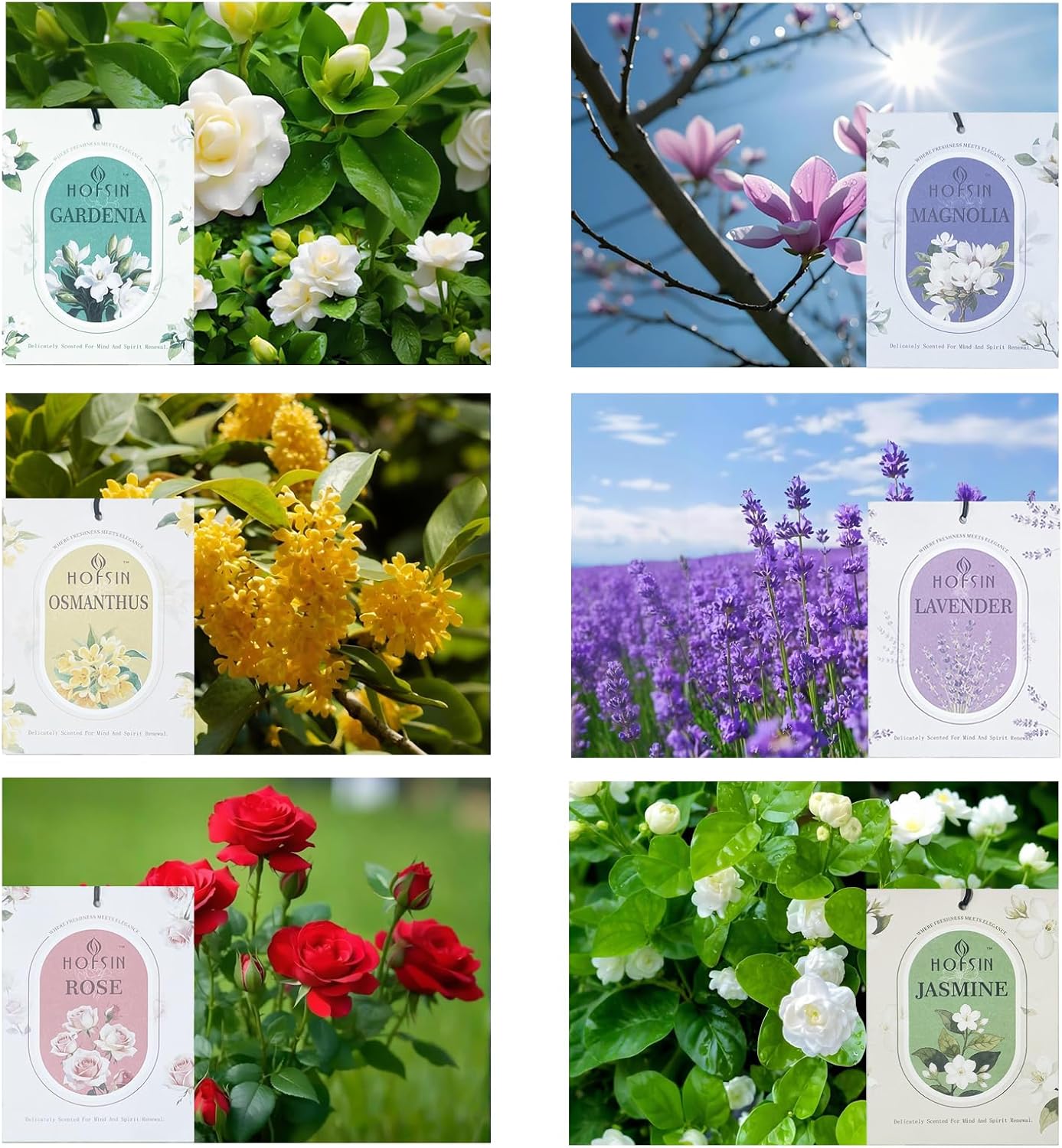 12 Pack Jasmine Scented Sachets for Drawer and Closet
