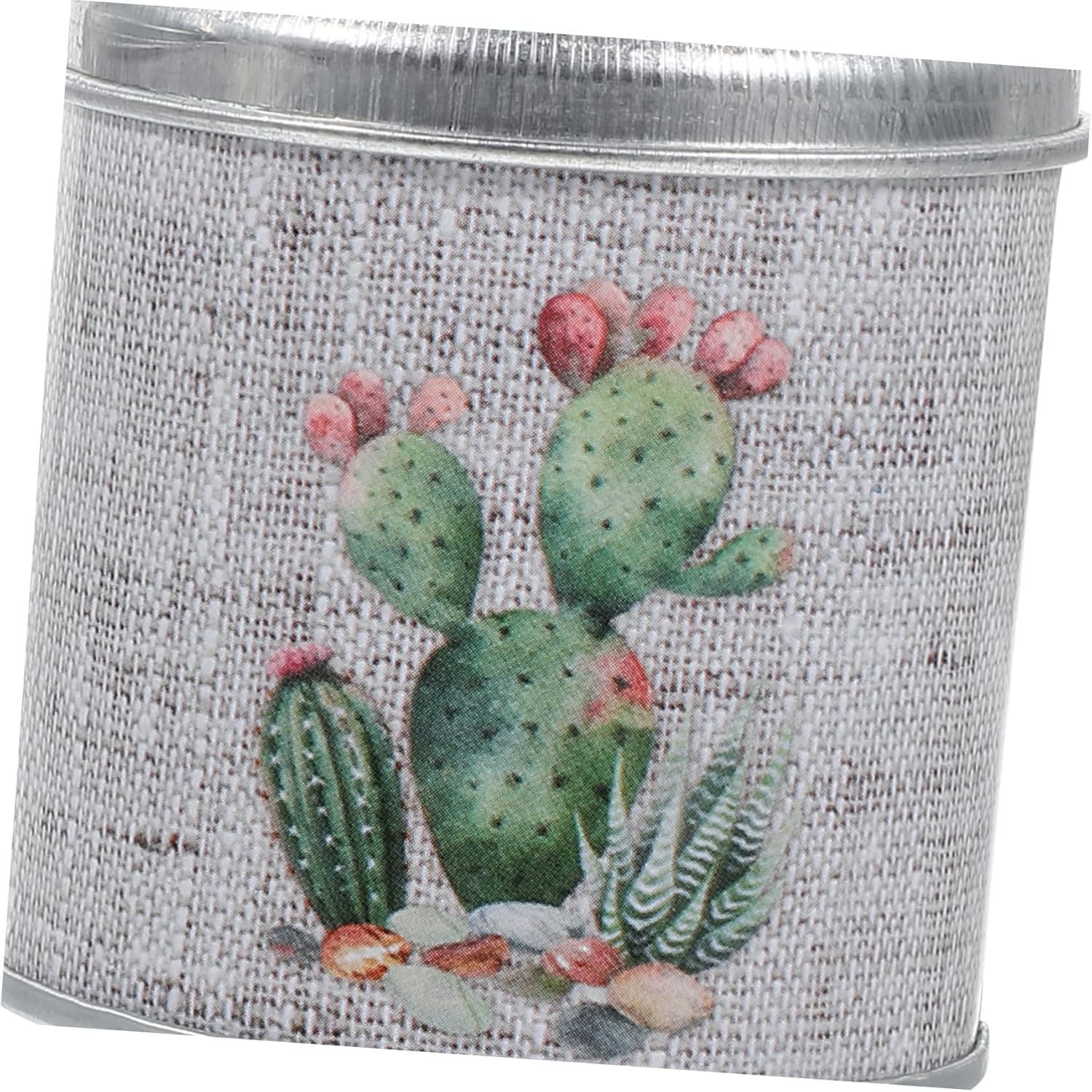 STOBAZA 2pcs Vintage Rustic Iron Flower Vases with Handles