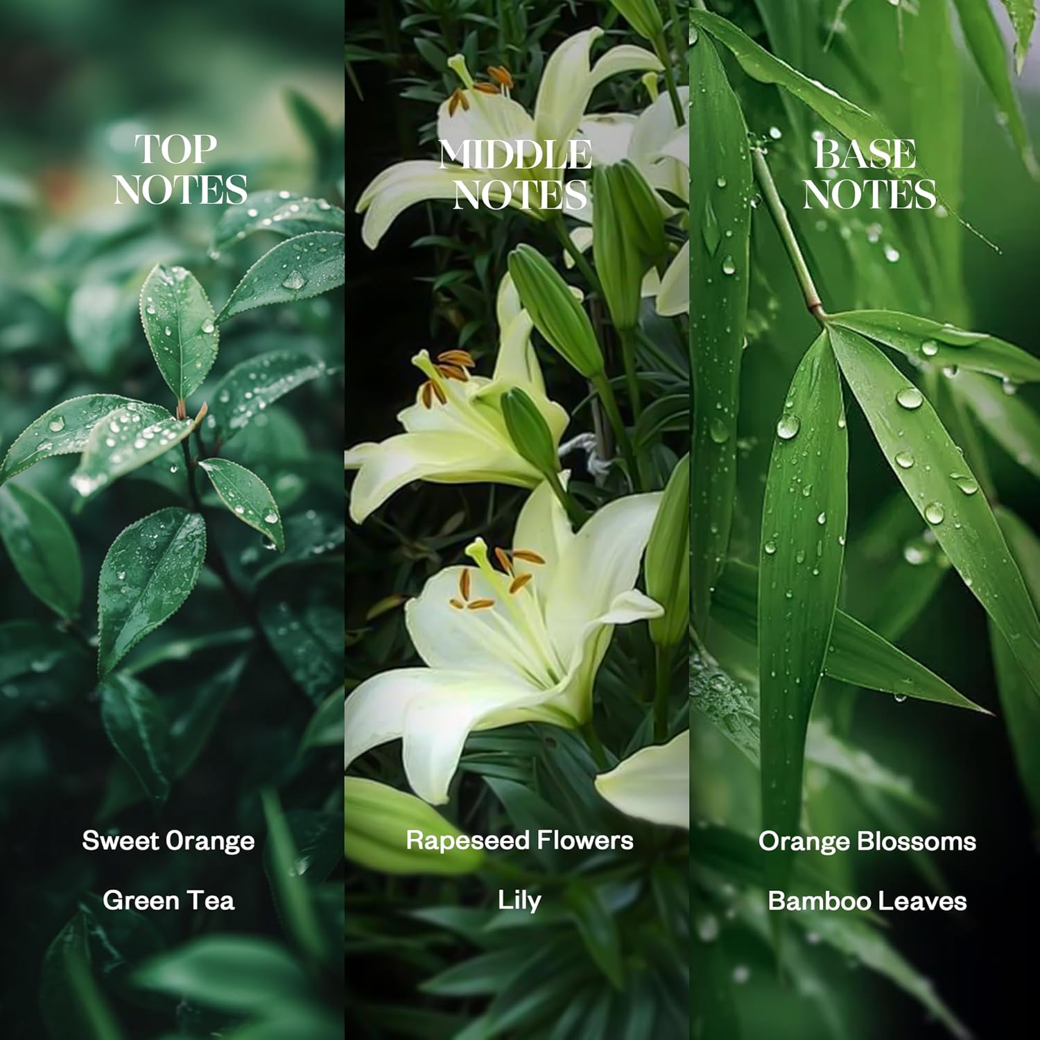 Mystify Diffuser Oil Inspired by W Hotel