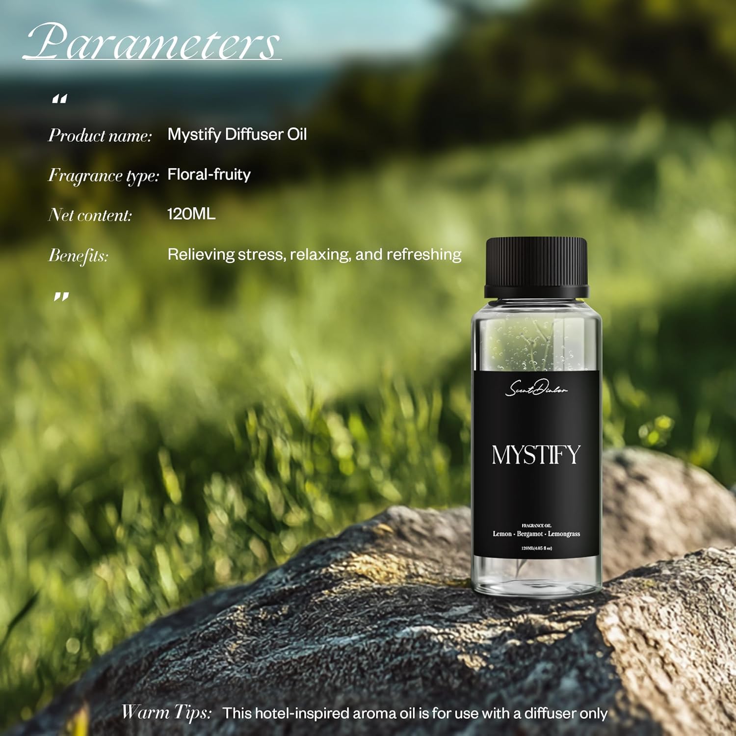 Mystify Diffuser Oil Inspired by W Hotel