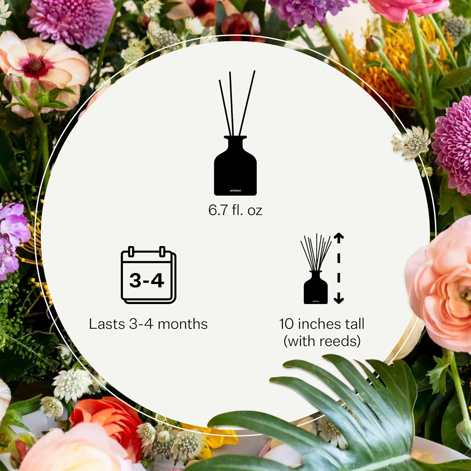 APOTHEKE White Vetiver Reed Diffuser 67 Fl Oz