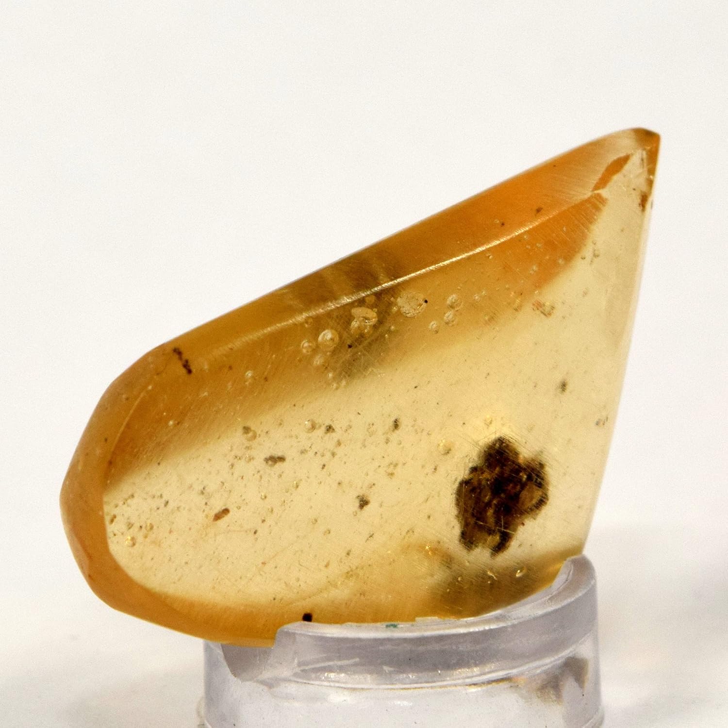 HQRP 29mm Copal with Insects Natural Mineral Stone