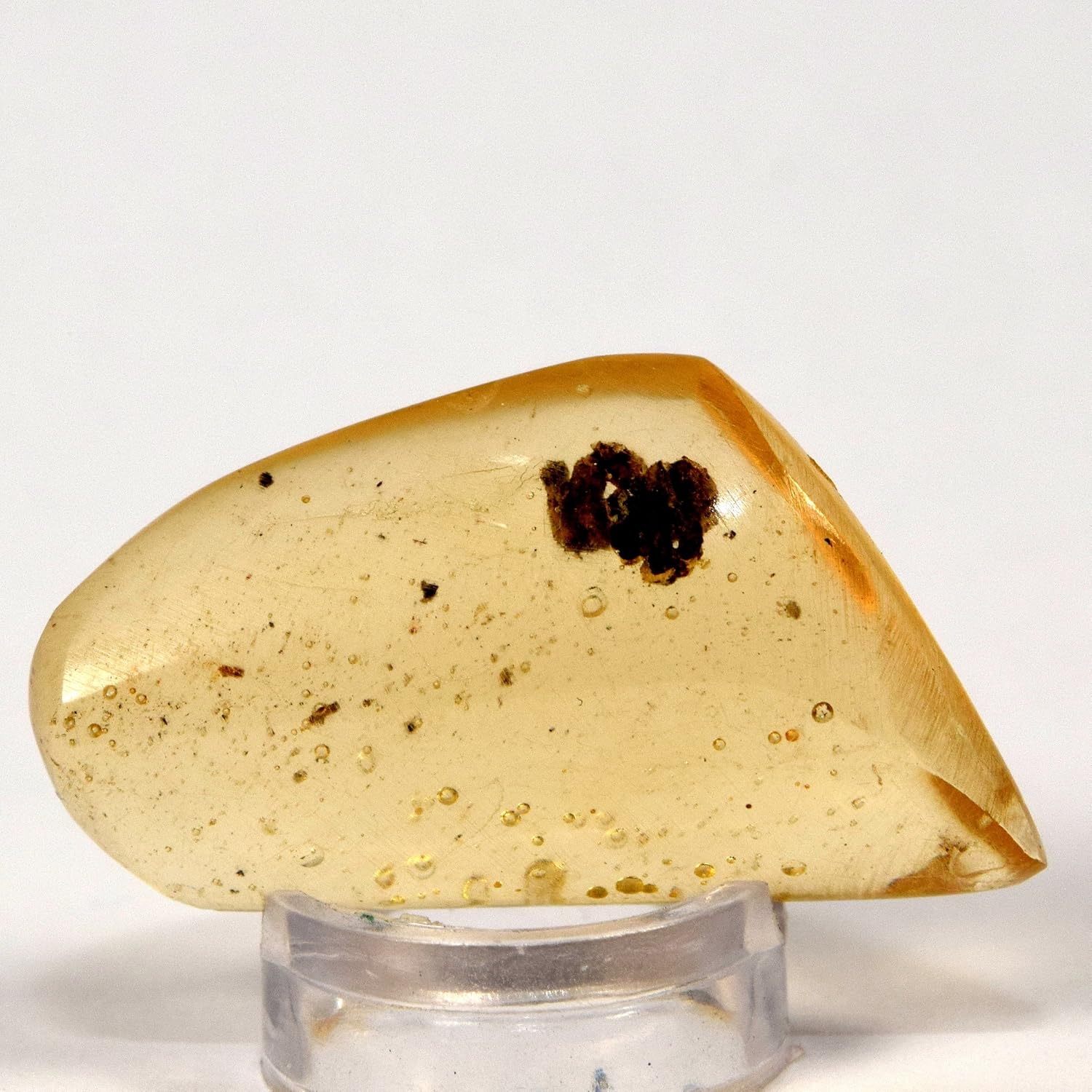 HQRP 29mm Copal with Insects Natural Mineral Stone